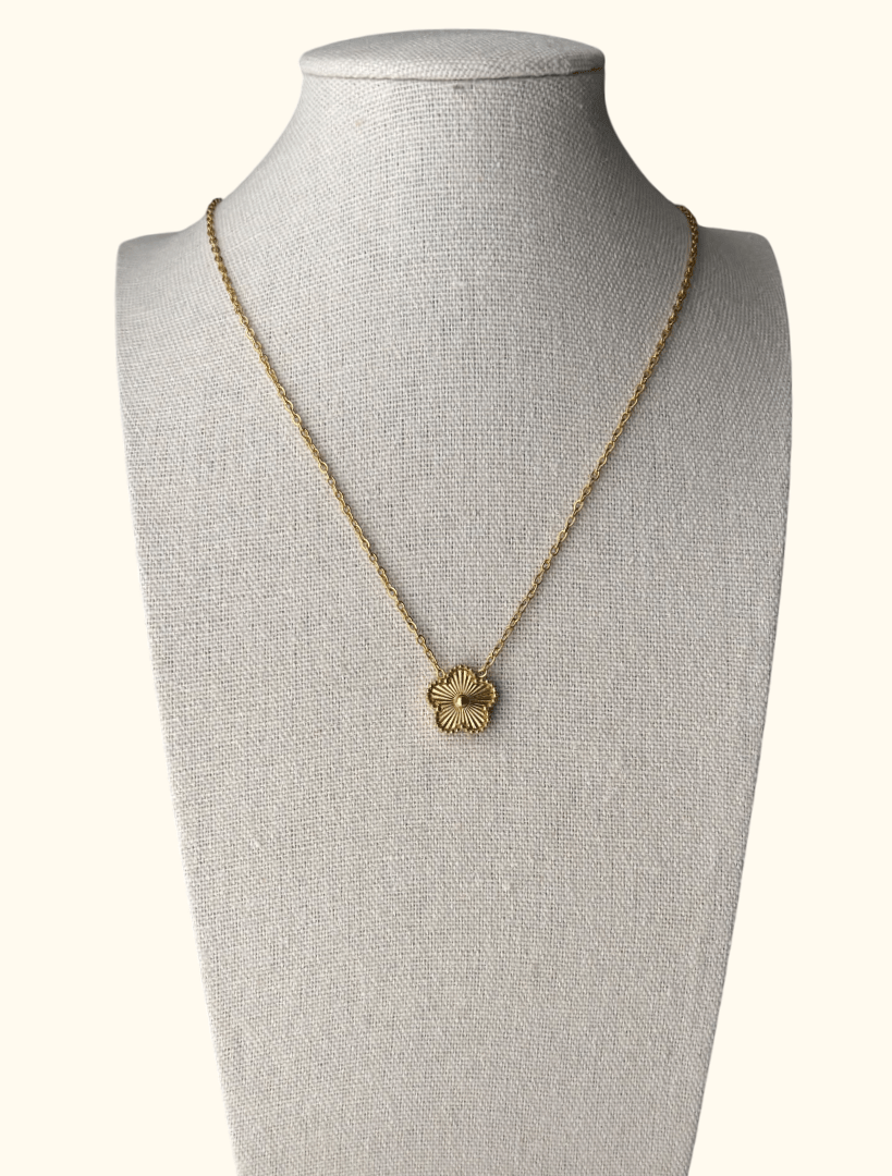 COLLIER FIONA - ZELAYA PARIS