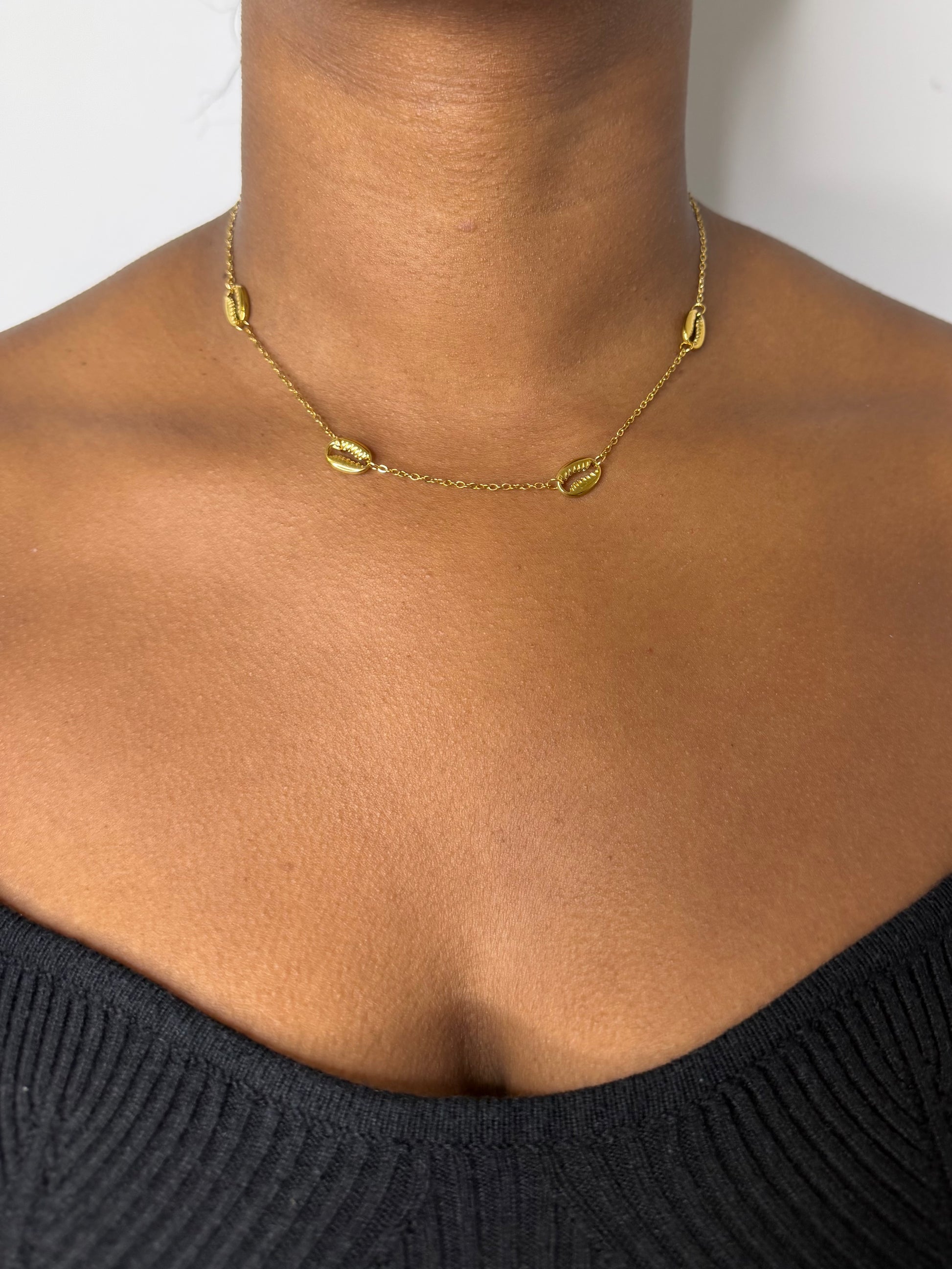COOKIE - Collier en acier inoxydable