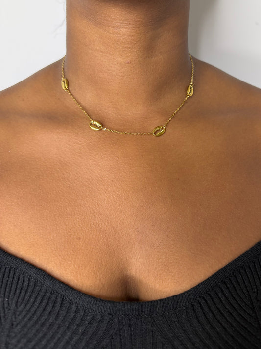 COOKIE - Collier en acier inoxydable